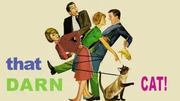 Задник до фильму"That Darn Cat!" #1039938