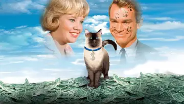 Задник до фильму"That Darn Cat!" #1039940