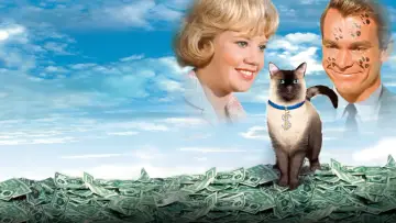 Задник до фильму"That Darn Cat!" #401055