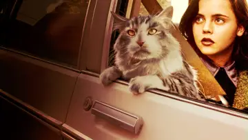 Задник до фильму"That Darn Cat" #422980