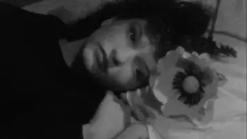 Задник до фильму"Полудневі тенета" #985288