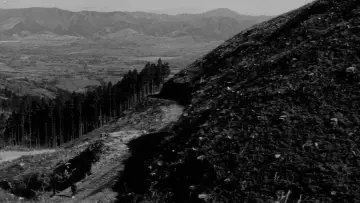 Задник до фильму"上意討ち 拝領妻始末" #1075514
