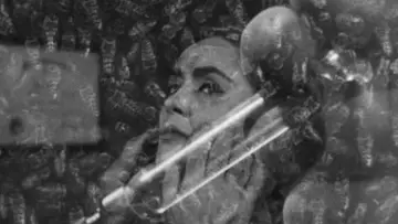 Задник до фильму"The Wasp Woman" #1109889