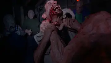 Задник до фільму "Basket Case 2" #1211406