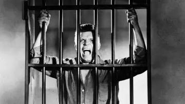 Задник до фільму "Riot in Cell Block 11" #425774