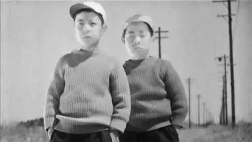 Задник до фільму "大人の見る繪本 生れてはみたけれど" #1619627