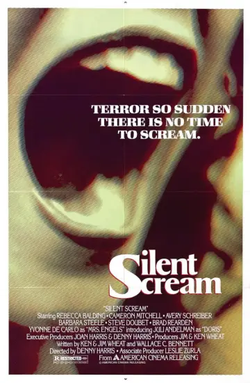 Постер до фильму"Silent Scream" #1135134