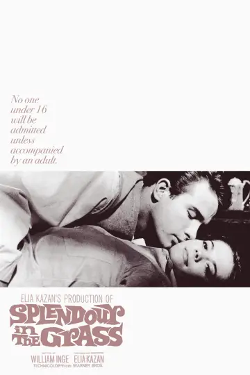 Постер до фильму"Splendor in the Grass" #1014743