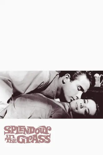 Постер до фильму"Splendor in the Grass" #1014744