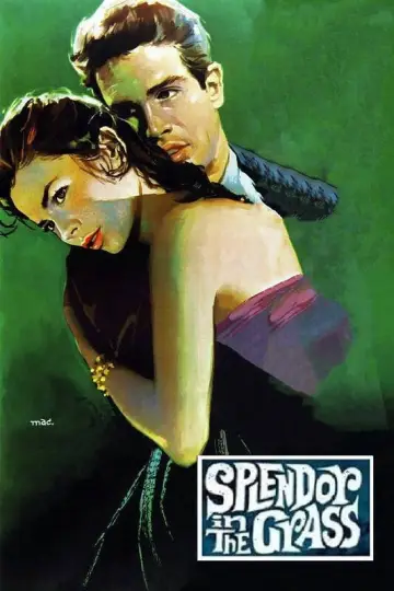 Постер до фильму"Splendor in the Grass" #1014745