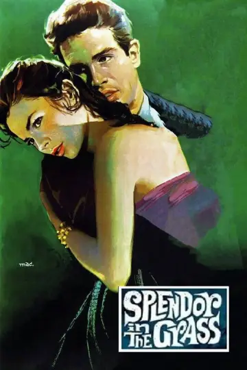 Постер до фильму"Splendor in the Grass" #1014746