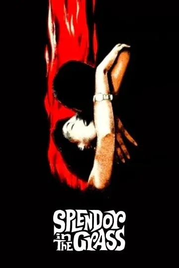 Постер до фильму"Splendor in the Grass" #1014747