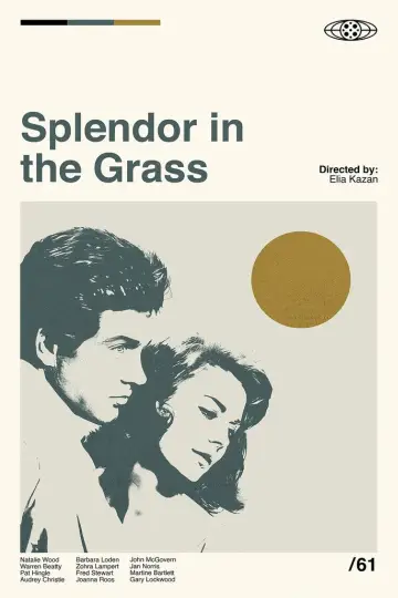 Постер до фильму"Splendor in the Grass" #1014748