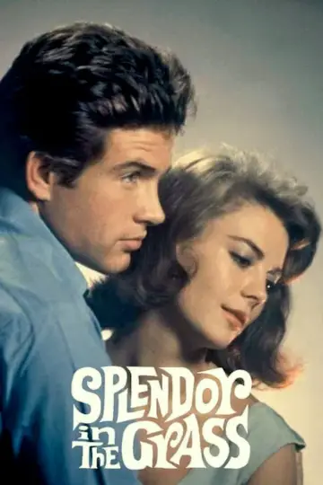 Постер до фильму"Splendor in the Grass" #1014749