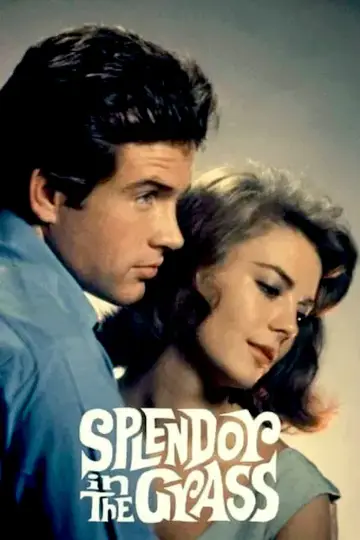 Постер до фильму"Splendor in the Grass" #1014750