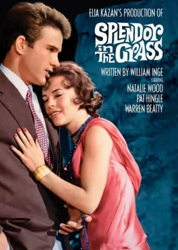 Постер до фильму"Splendor in the Grass" #1014751