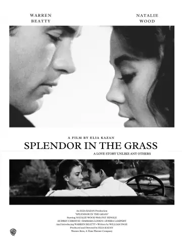 Постер до фильму"Splendor in the Grass" #1014756