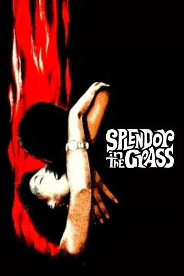 Постер до фильму"Splendor in the Grass" #1014757