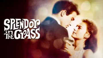 Задник до фильму"Splendor in the Grass" #365051