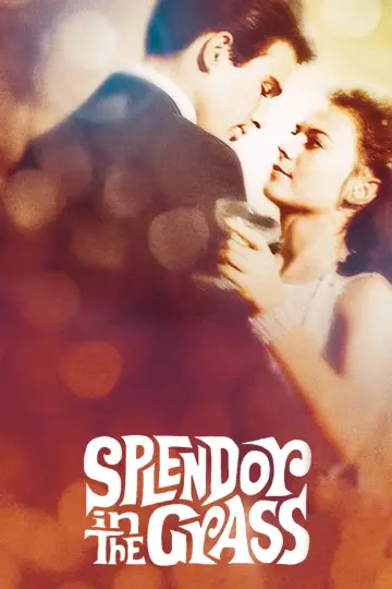 Постер до фильму"Splendor in the Grass" #365053