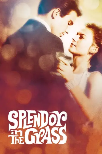 Постер до фильму"Splendor in the Grass" #365054
