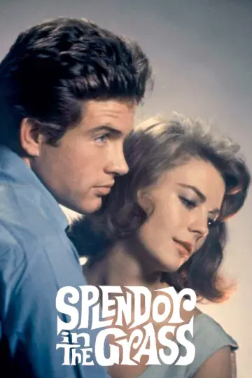 Постер до фильму"Splendor in the Grass" #365055