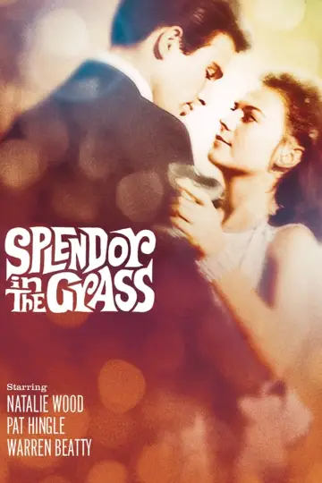 Постер до фильму"Splendor in the Grass" #365056