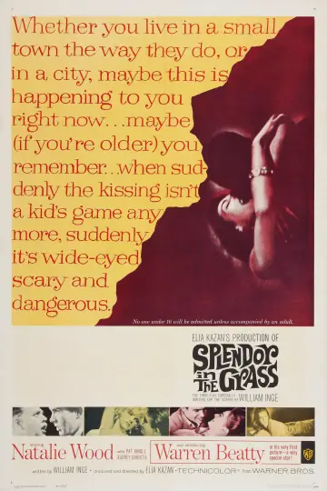 Постер до фильму"Splendor in the Grass" #365058