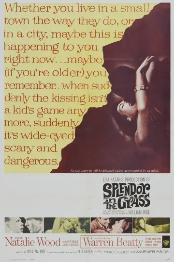 Постер до фильму"Splendor in the Grass" #365060