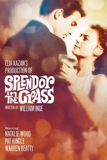 Постер до фильму"Splendor in the Grass" #365061