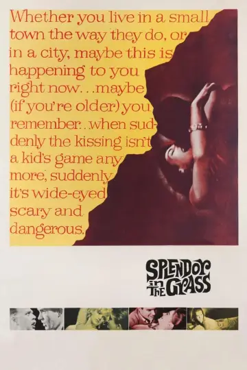 Постер до фильму"Splendor in the Grass" #365063