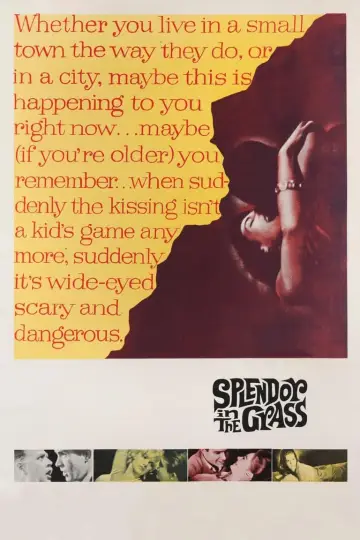 Постер до фильму"Splendor in the Grass" #365064