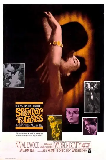 Постер до фильму"Splendor in the Grass" #365065