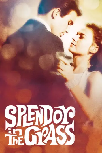 Постер до фильму"Splendor in the Grass" #365066