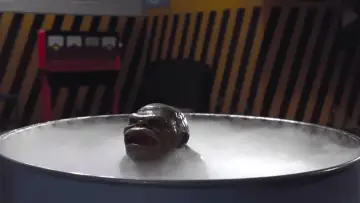Задник до фильму"Ghoulies II" #494662