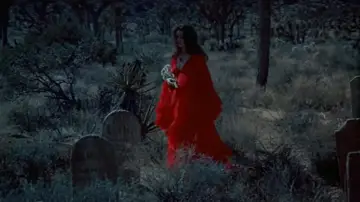 Задник до фильму"The Velvet Vampire" #874225