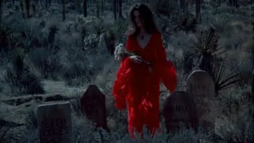 Задник до фильму"The Velvet Vampire" #874234