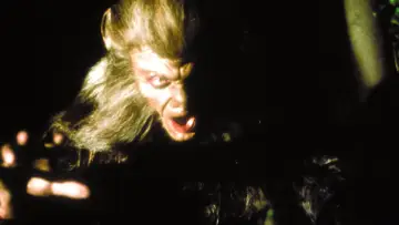 Задник до фильму"Howling II: Stirba - Werewolf Bitch" #482391