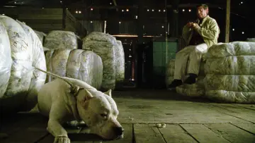 Задник до фільму "El perro" #668330