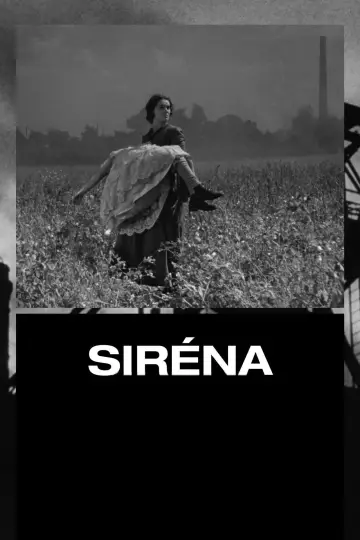 Siréna