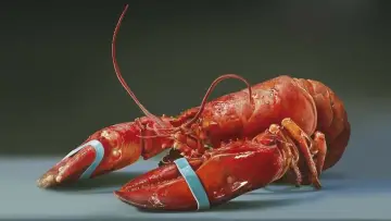Het Diner постер