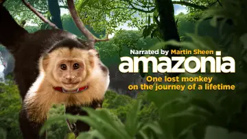 Задник до фильму"Amazonia" #708203