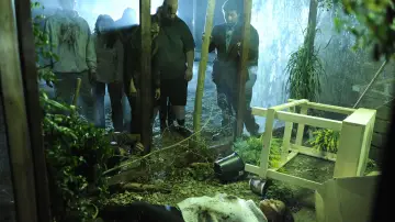 Задник до фильму"Zombie Night" #471994