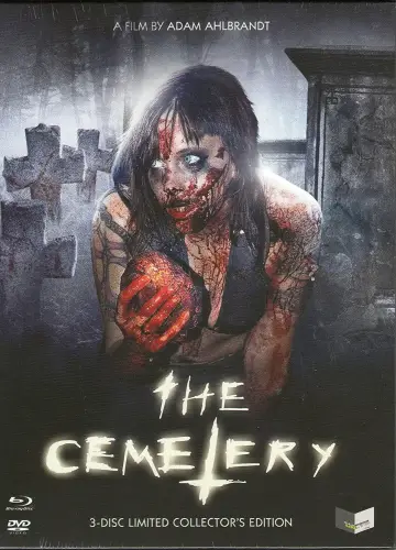 Постер до фильму"The Cemetery" #1137719
