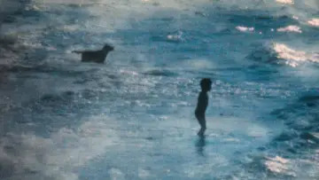 Задник до фільму "La plage" #1637594