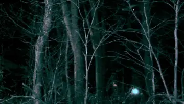 Задник до фильму"All Hallows