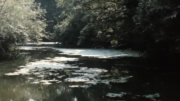 Задник до фільму "Nostos: il ritorno" #1210940
