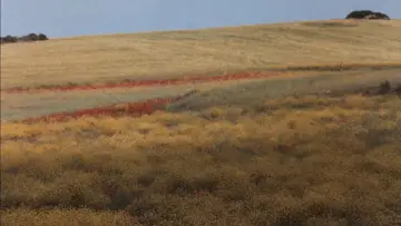 Задник до фільму "Nostos: il ritorno" #1210968
