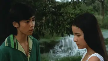 Задник до фильму"恋は緑の風の中" #405439
