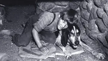 Задник до фільму "A Boy and His Dog" #1810848